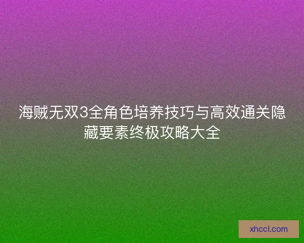 海贼无双3全角色培养技巧与高效通关隐藏要素终极攻略大全